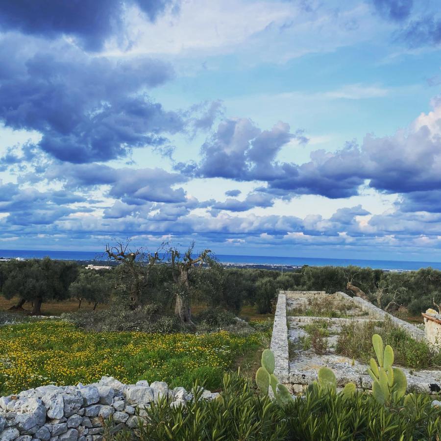 Bed and Breakfast La Guendalina Masseria E Casa Particular Monopoli Exteriér fotografie