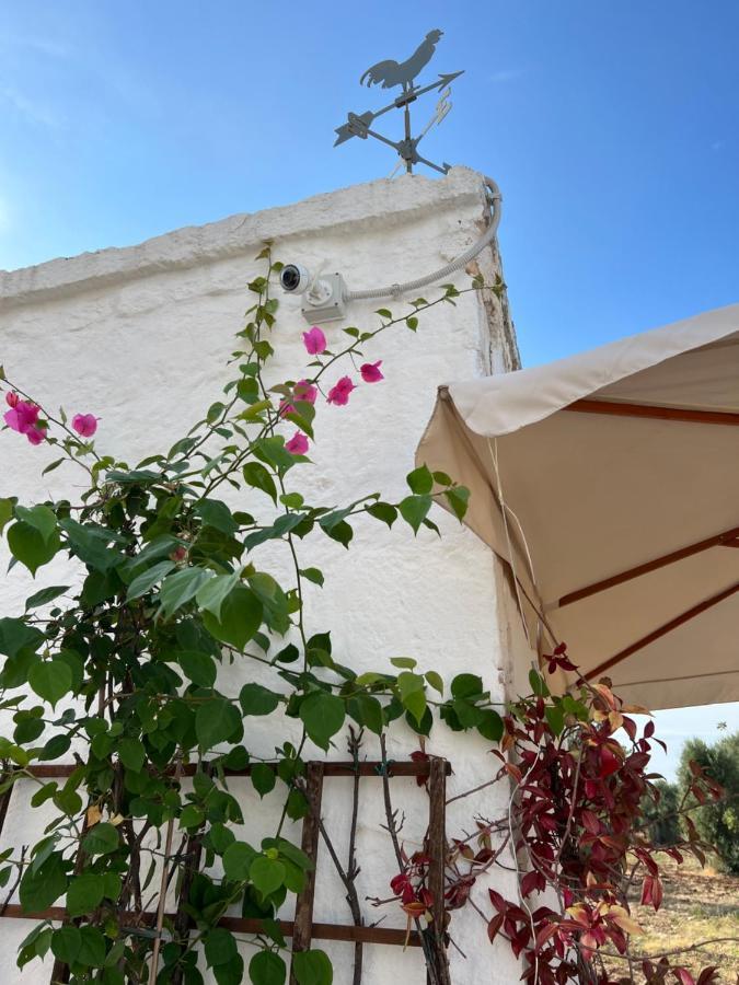 Bed and Breakfast La Guendalina Masseria E Casa Particular Monopoli Exteriér fotografie