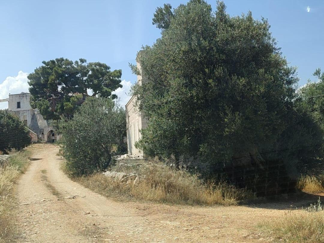 Bed and Breakfast La Guendalina Masseria E Casa Particular Monopoli Exteriér fotografie
